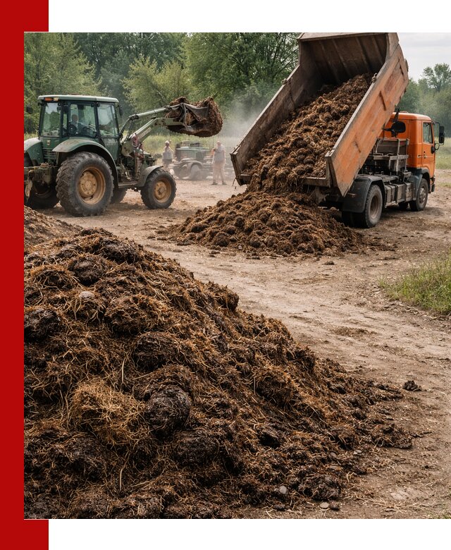 Доставка навоза самосвалами в Нижневартовске для сельхозпотребностей