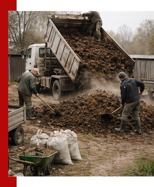 Доставка коровьего навоза самосвалом в Нижневартовске
